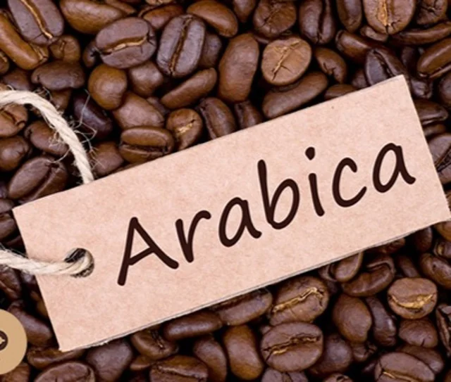 عربیکا